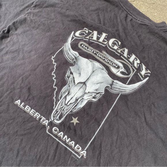 2006 Harley-Davidson Calgary - Picture 3 of 5